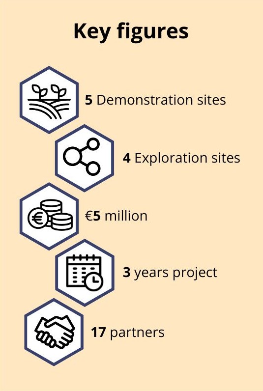key figures