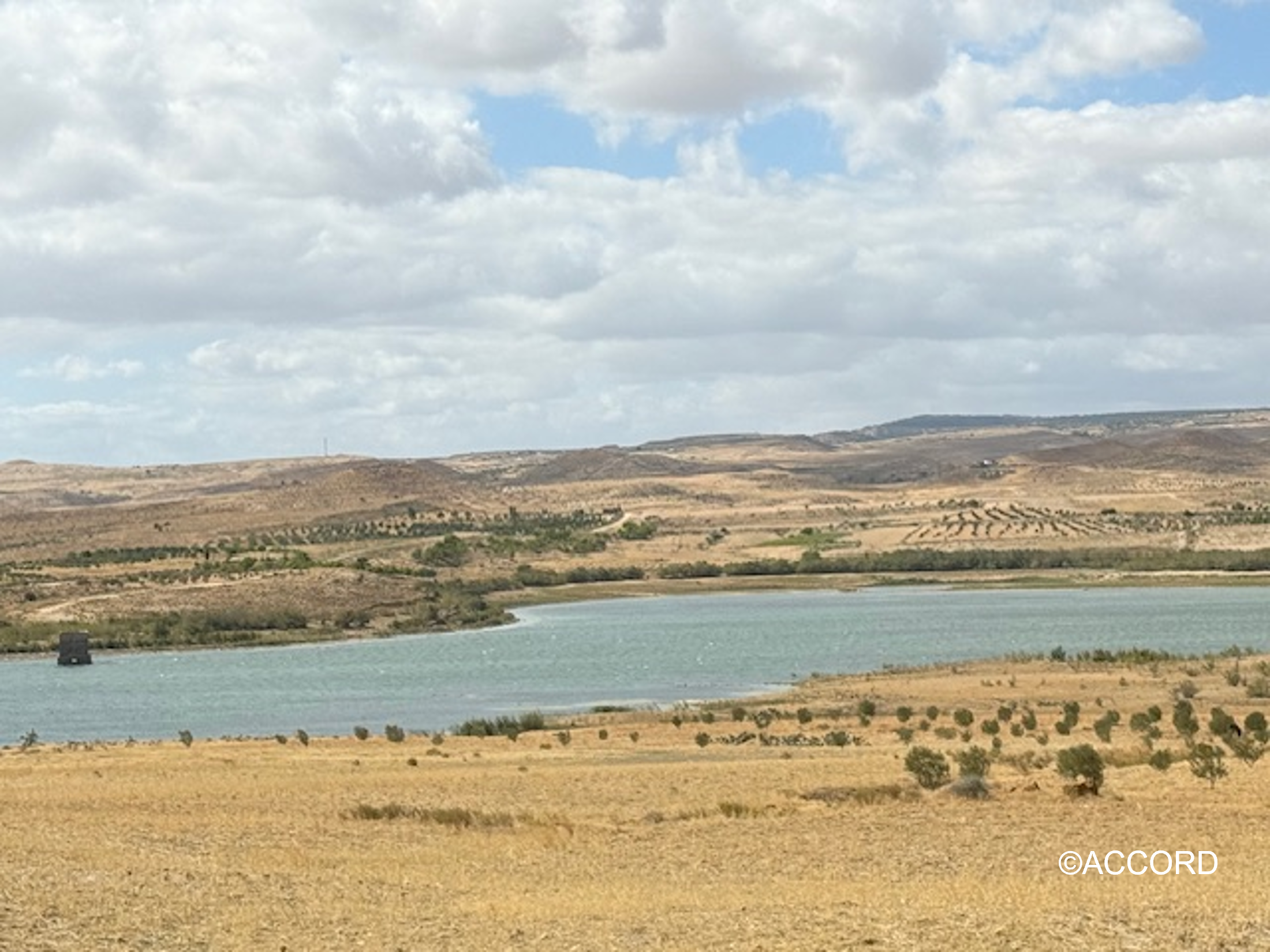 El Alaa, Tunisia El Alaa, Tunisia