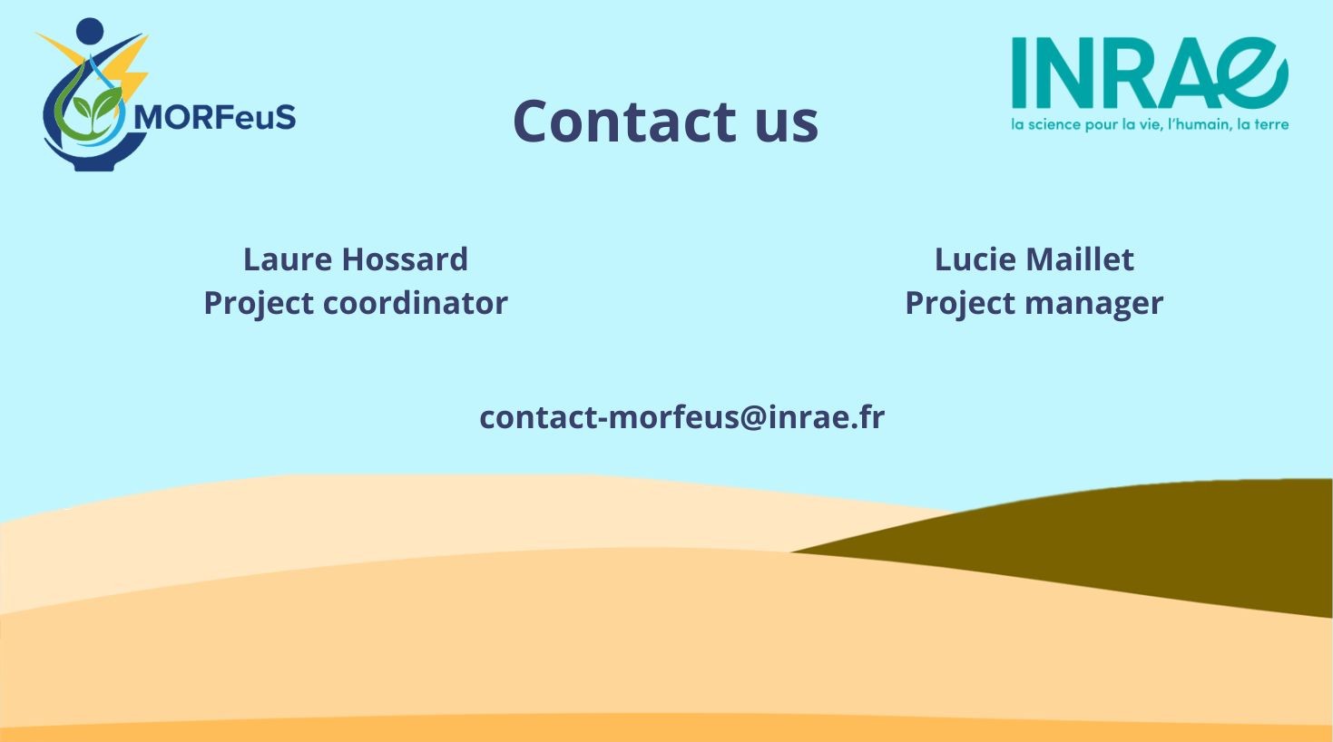 contact us